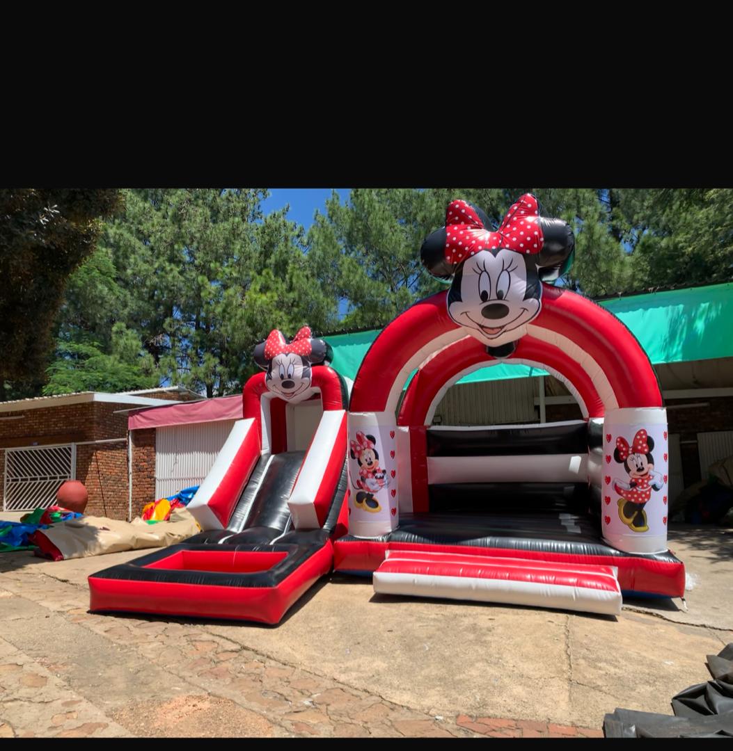 4x6m Minnie Play Gym